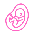 Maternal-Fetal Medicine icon