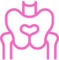 pelvic icon